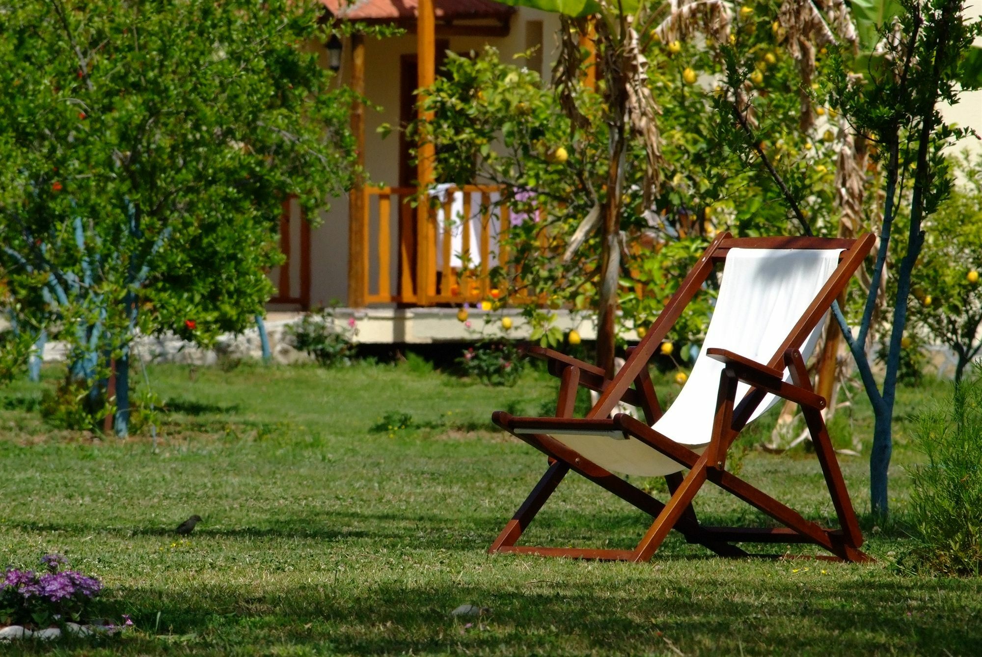 פאטהיה Yonca Lodge מראה חיצוני תמונה
