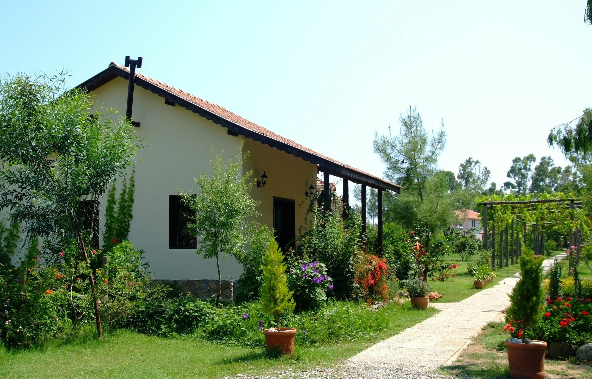פאטהיה Yonca Lodge מראה חיצוני תמונה